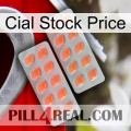 Cial Stock Price 27